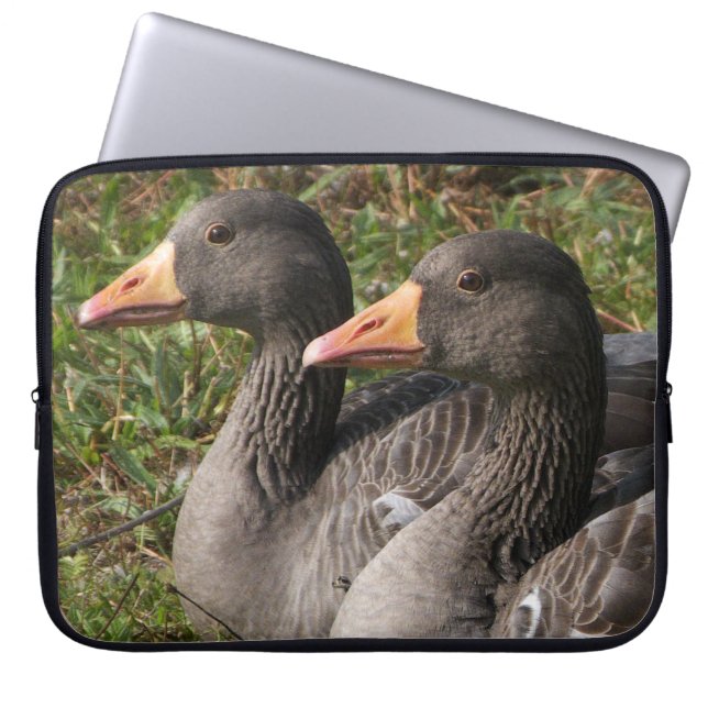 Capa Para Notebook Greylag Geese (Frente)