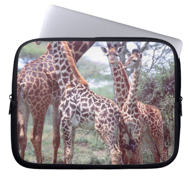 Capa Para Notebook Grupo de girafas ou manada com filhotes, Giraffa (Frente)