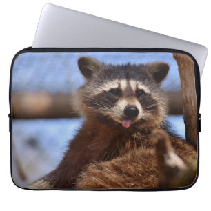 Capa Para Notebook Guaxinim Engraçado com a Língua para Fora