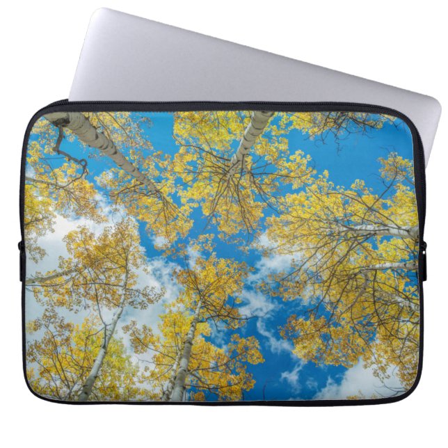 Capa Para Notebook Gunnison National Forest Colorado (Frente)