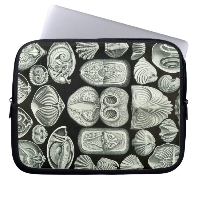 Capa Para Notebook Haeckel Antigo (Frente)