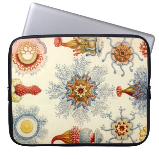 Capa Para Notebook Haeckel Antigo