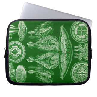 Capa Para Notebook Haeckel Antigo
