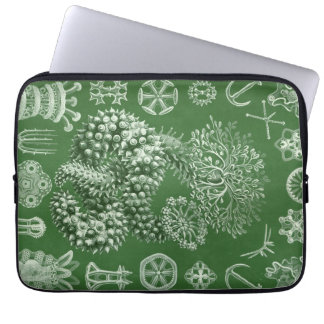 Capa Para Notebook Haeckel Vintage