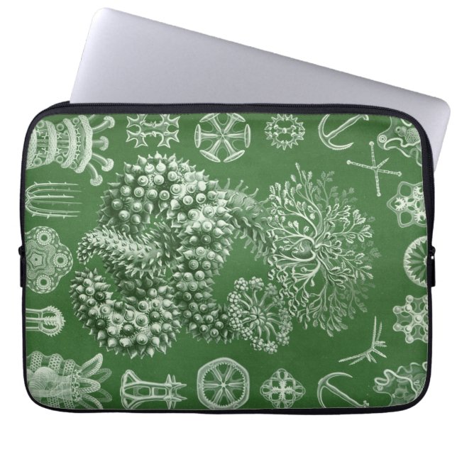 Capa Para Notebook Haeckel Vintage (Frente)