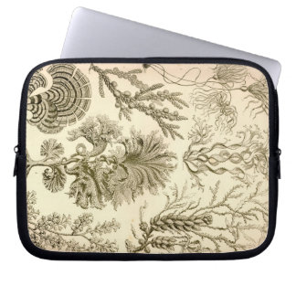 Capa Para Notebook Haeckel Vintage