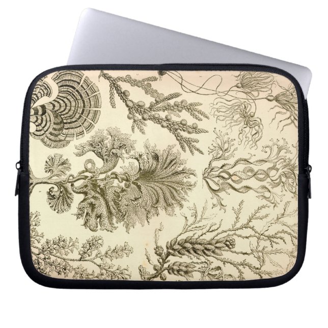 Capa Para Notebook Haeckel Vintage (Frente)