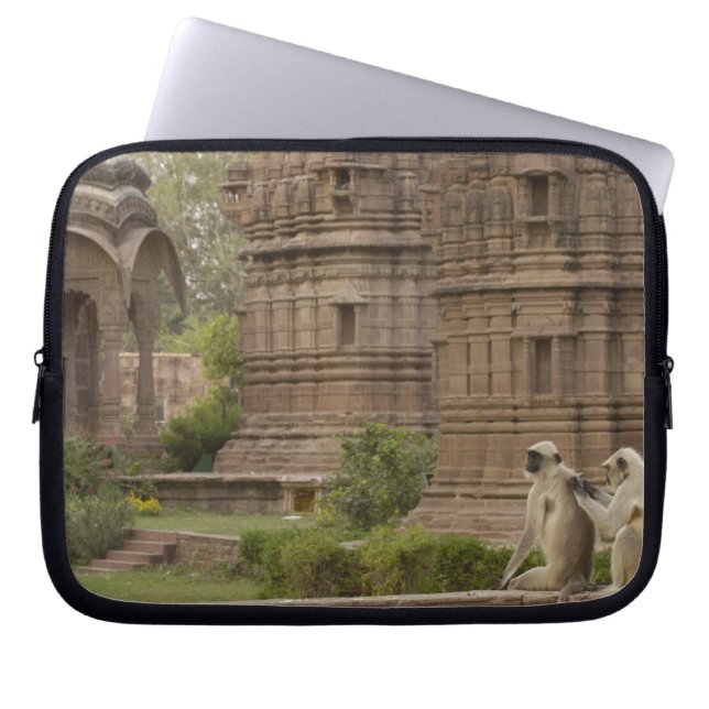 Capa Para Notebook Hanuman Langurs ou de cara preta, comum ou cinza (Frente)