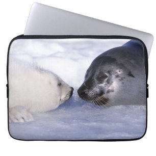 Capa Para Notebook Harp Seal Mãe com Pup