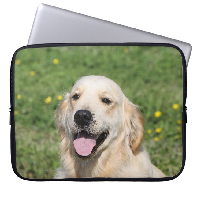Capa Para Notebook Headshot 1 do golden retriever (Frente)
