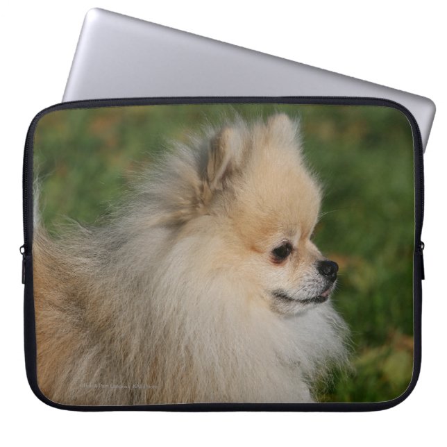 Capa Para Notebook Headshot 2 de Pomeranian (Frente)