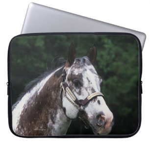 Capa Para Notebook Headshot 2 do cavalo do Appaloosa