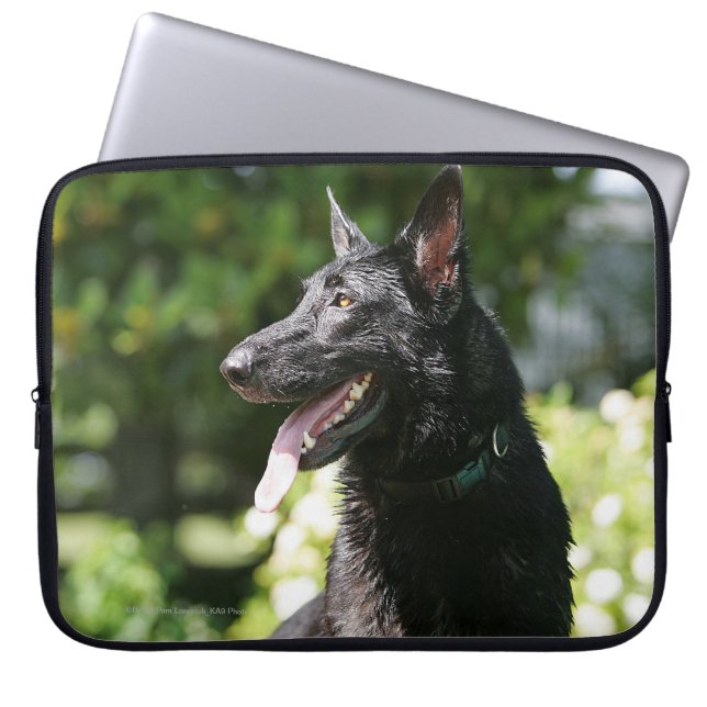 Capa Para Notebook Headshot 2 do german shepherd (Frente)