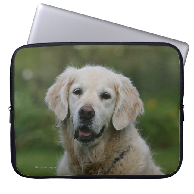 Capa Para Notebook Headshot 2 do golden retriever (Frente)