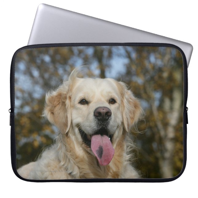 Capa Para Notebook Headshot 3 do golden retriever (Frente)