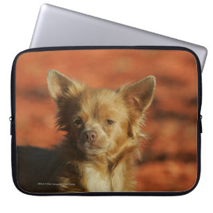 Capa Para Notebook Headshot do filhote de cachorro da chihuahua