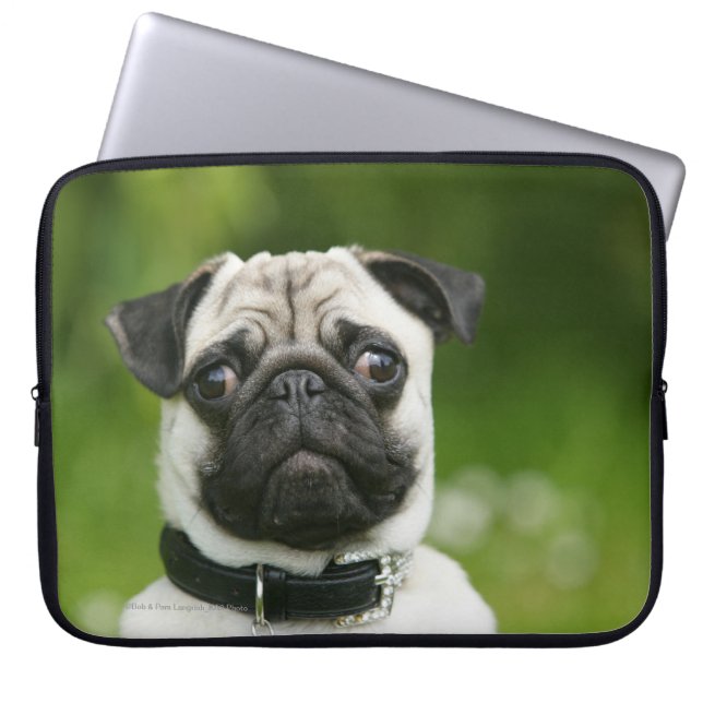 Capa Para Notebook Headshot do Pug (Frente)