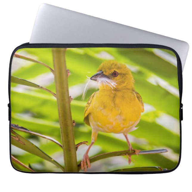 Capa Para Notebook Hora de construir o ninho (Frente)