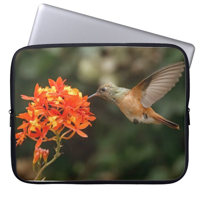 Capa Para Notebook Hummingbird Com Saco De Eletrônicos Flores (Frente)