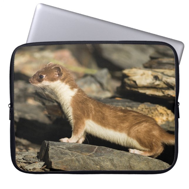 Capa Para Notebook Hunting Weasel (Frente)