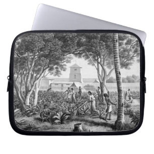 Capa Para Notebook Ilha de Guam: Nativos no trabalho no jardim de t