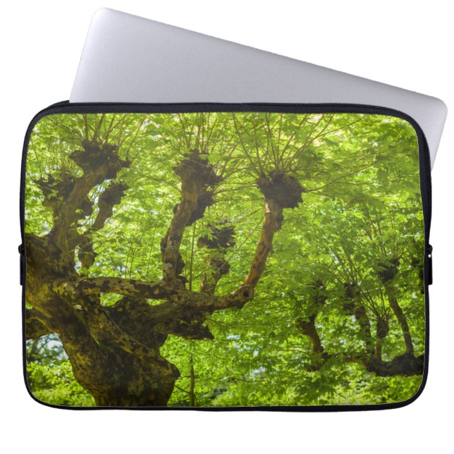 Capa Para Notebook Ilha de São Miguel (Frente)
