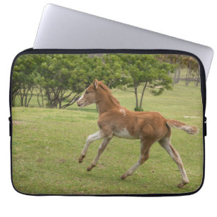 Capa Para Notebook Ilha páscoa Rapa Nui