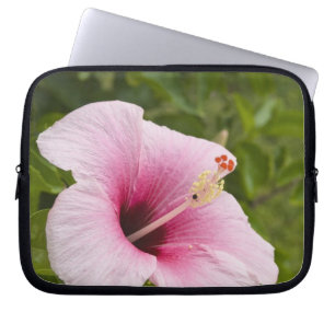 Capa Para Notebook Ilhas Cook, Atiu. Flor de hibisco.