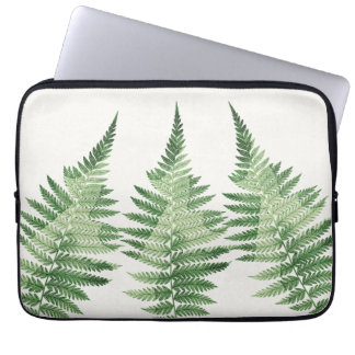 Capa Para Notebook Ilustração Botânica de Fern Verde Minimalista