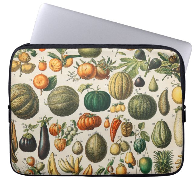Capa Para Notebook Ilustração Científica Botânica Vegetal fruta (Frente)