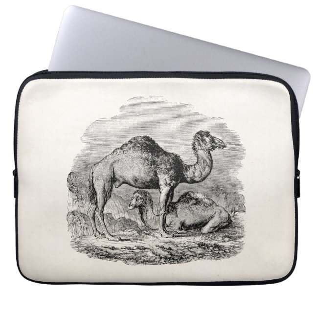 Capa Para Notebook Ilustração personalizada Dromedary do camelo do (Frente)
