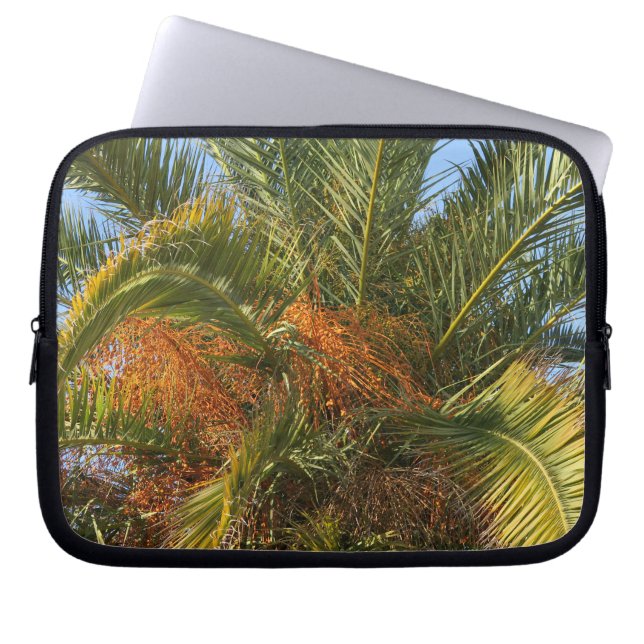Capa Para Notebook IMG_7080.JPGverão, palma, folha, tropical, árvore, (Frente)