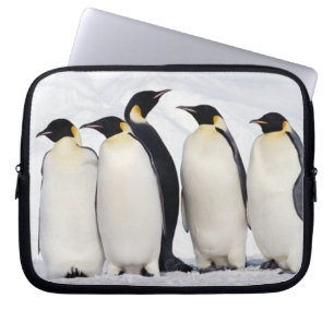 Capa Para Notebook Imperador Penguins