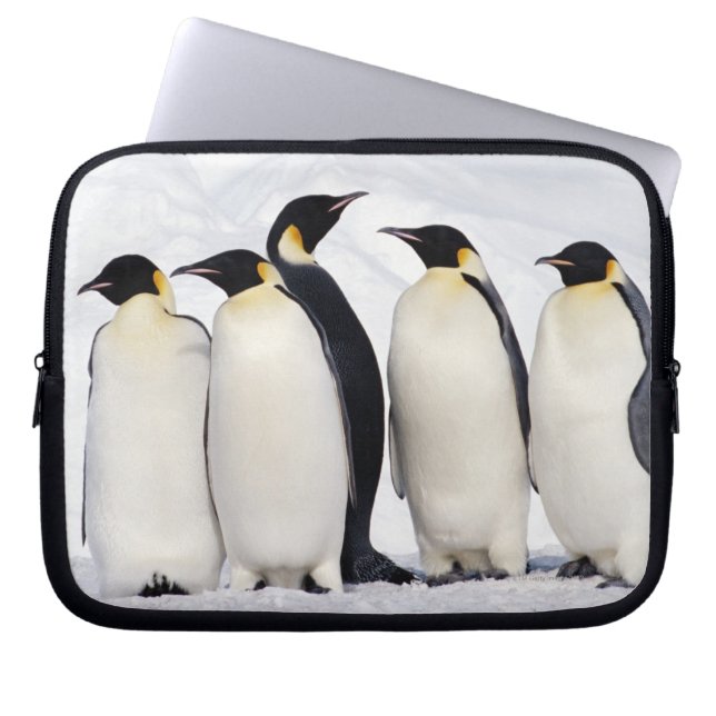Capa Para Notebook Imperador Penguins (Frente)