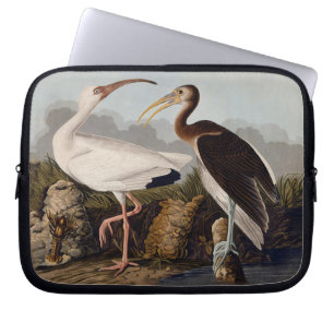 Capa Para Notebook Impressão Clássica de Pássaro Íbis Branco de John