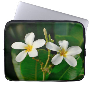 Capa Para Notebook Impressão de tela branca Frangipani