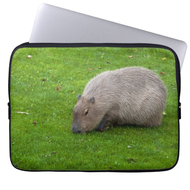 Capa Para Notebook Incrível Animal Capivara (Frente)