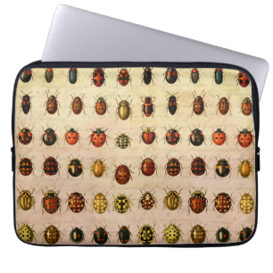 Capa Para Notebook Inseto do Inseto Ladybug Ladybird Beetle