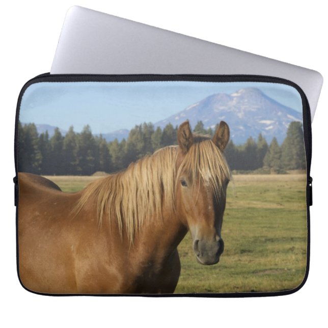 Capa Para Notebook Intervalo em Cascata | Chestnut Horse (Frente)