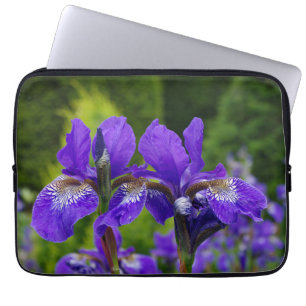 Capa Para Notebook Iris sibirica fotografia floral