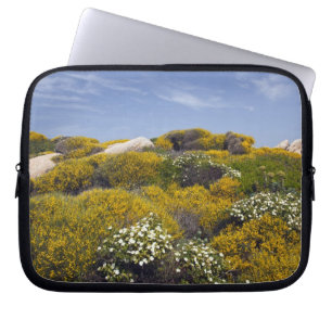 Capa Para Notebook Itália, Sardenha, Santa Teresa Gallura. Capo 3