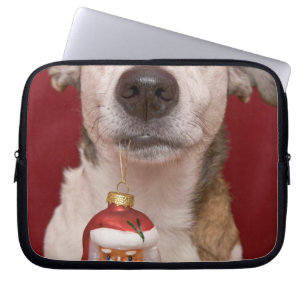 Capa Para Notebook Jack Russell Terrier que guardara enfeites de