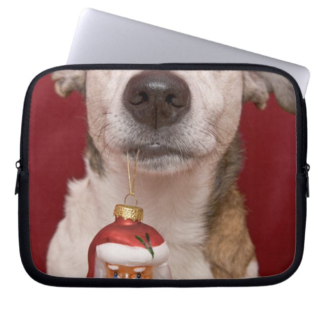 Capa Para Notebook Jack Russell Terrier que guardara enfeites de (Frente)