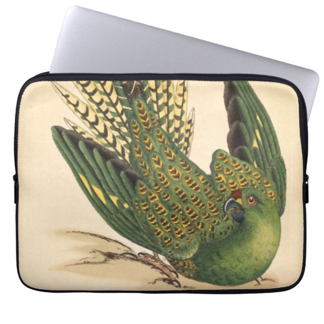 Capa Para Notebook James Sowerby Ground Parrot, Psittacus terrestris (Frente)