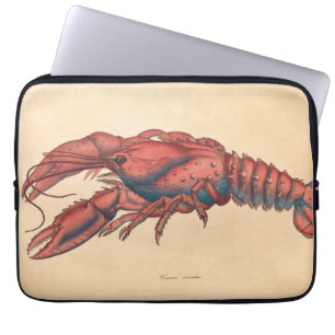 Capa Para Notebook James Sowerby Sernotated Lobster