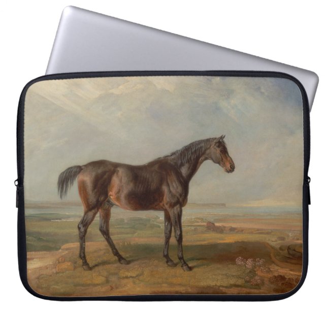 Capa Para Notebook James Ward - Dr. Syntax, um cavalo de corrida baio (Frente)