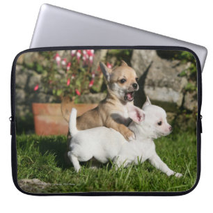 Capa Para Notebook Jogo do filhote de cachorro da chihuahua