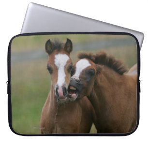 Capa Para Notebook Jogo dos potros