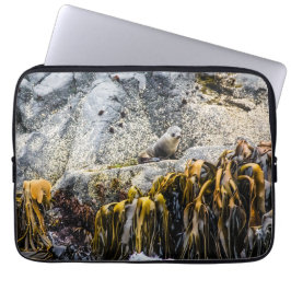 Capa Para Notebook Jovem Selo De Peles Na Rocha