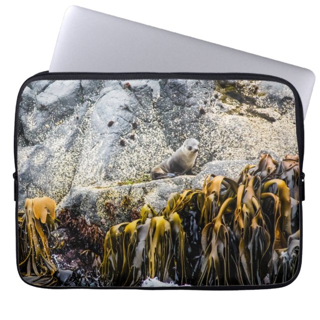 Capa Para Notebook Jovem Selo De Peles Na Rocha (Frente)